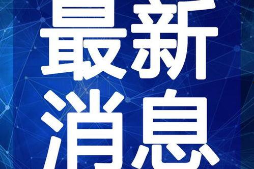 南京零食爆料视频最新,网红爆款盘点，揭秘本地特色小吃魅力  第3张